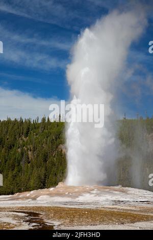 Eine vertikale Aufnahme des alttreuen Geysir in Wyoming, USA Stockfoto