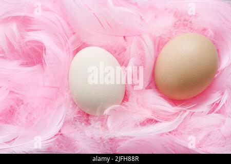 Eier liegen auf rosa Federn. Osterdekor Stockfoto