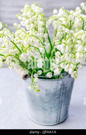 Lilly of the Valley blüht im silbernen Eimer. Einrichtung im Frühling Stockfoto