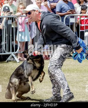 Display by Police, Fire and Ambulance Services, Eastbourne, East Sussex, UK Stockfoto