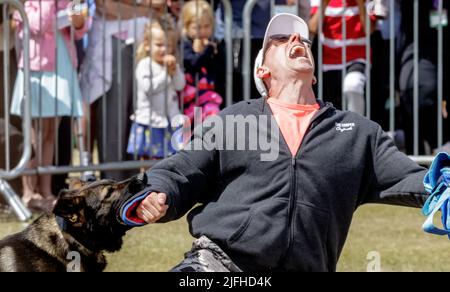 Display by Police, Fire and Ambulance Services, Eastbourne, East Sussex, UK Stockfoto