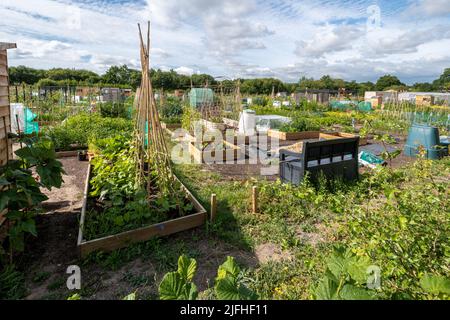 Zuteilungen und Gemeinschaftsgartenbereich im Edenbrook Country Park in der Nähe von Fleet, Hampshire, England, Großbritannien Stockfoto