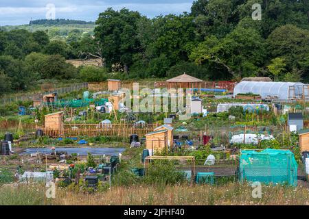 Zuteilungen und Gemeinschaftsgartenbereich im Edenbrook Country Park in der Nähe von Fleet, Hampshire, England, Großbritannien Stockfoto