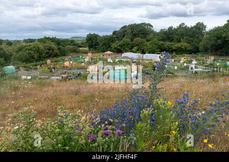 Zuteilungen und Gemeinschaftsgartenbereich im Edenbrook Country Park in der Nähe von Fleet, Hampshire, England, Großbritannien Stockfoto