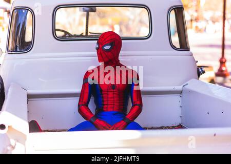 Eine Nahaufnahme einer Person im Spider-man-Kostüm, die an einem sonnigen Tag hinter dem Auto sitzt Stockfoto