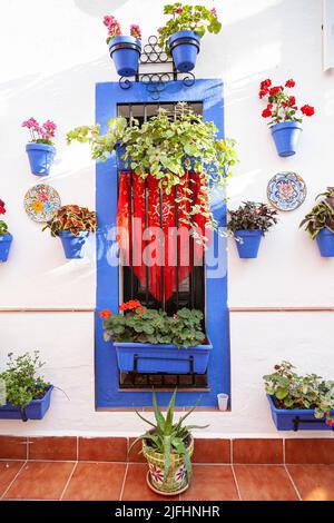 Die Wand ist mit blauen Töpfen mit roten Geranien und einem Balkon mit einem roten Manila-Mantel geschmückt, der typisch für andalusische Terrassen ist Stockfoto