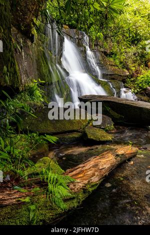 Cedar Rock Falls - Pisgah National Forest, in der Nähe von Brevard, North Carolina, USA Stockfoto