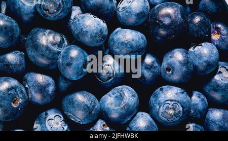 Haufen frischer Waldfrüchte. Full-Frame-Aufnahme der natürlichen Quelle von Vitaminen und Antioxidantien. Stockfoto