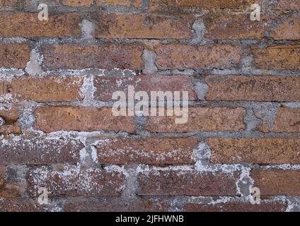 Alte und verblasste rote Ziegelmauer mit weißem und grauem Mörtel und Schimmel Stockfoto