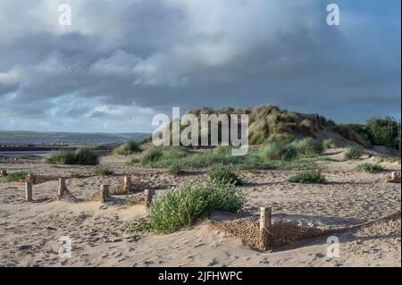 Sanddünen am Strand von Instow, North Devon, bei fast Sonnenuntergang Stockfoto