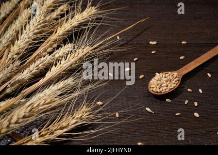 Weizenkorn und Stacheletts in der Zusammensetzung mit Küchenutensilien Stockfoto