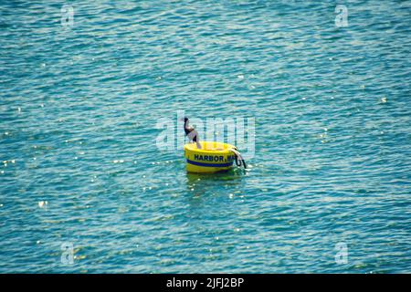 Freizeitspaß während der Sommermonate. Stockfoto