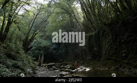 Blick in den dichten Wald und die Familie, die am bergigen Fluss mit Steinboden steht. Kreativ. Sommertourismus-Konzept. Stockfoto