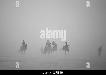 Reiten bei Ebbe in Deutschland Stockfoto