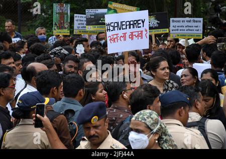 Mumbai, Maharashtra, Indien. 3.. Juli 2022. Demonstranten versammeln sich während des Protests gegen das Schneiden der Bäume und den Bau eines U-Bahn-Autoschuppens im Aarey-Wald. Die Regierung will den Bau des U-Bahn-Autoschuppens von Kanjurmarg zurück in den Aarey-Wald verlagern, da die Kosten für das U-Bahn-Projekt eskalierten. (Bild: © Ashish Vaishnav/SOPA Images via ZUMA Press Wire) Bild: ZUMA Press, Inc./Alamy Live News Stockfoto