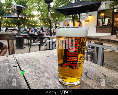 Glas mit Craft-Bier von Cerveceria Fauna hellbernsteinfarben, auf Holztisch in Hermosillo, Mexiko. © (Foto von Luis Gutierrez/Norte Photo) Vaso de cristal con cerveza artesanal de cerveceria fauna color clara color ambar, sobre mesa de madera en Hermosillo, Mexiko. © (Foto von Luis Gutierrez/Norte Photo) Stockfoto