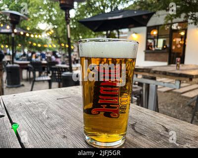 Glas mit Craft-Bier von Cerveceria Fauna hellbernsteinfarben, auf Holztisch in Hermosillo, Mexiko. © (Foto von Luis Gutierrez/Norte Photo) Vaso de cristal con cerveza artesanal de cerveceria fauna color clara color ambar, sobre mesa de madera en Hermosillo, Mexiko. © (Foto von Luis Gutierrez/Norte Photo) Stockfoto