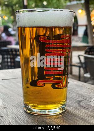 Glas mit Craft-Bier von Cerveceria Fauna hellbernsteinfarben, auf Holztisch in Hermosillo, Mexiko. © (Foto von Luis Gutierrez/Norte Photo) Vaso de cristal con cerveza artesanal de cerveceria fauna color clara color ambar, sobre mesa de madera en Hermosillo, Mexiko. © (Foto von Luis Gutierrez/Norte Photo) Stockfoto