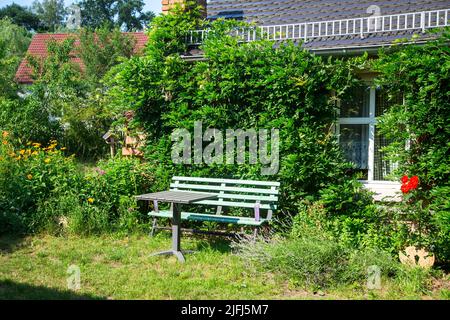 Grüne Bank vor einem alten roten Backsteinhaus, Lausitz, Deutschland Stockfoto