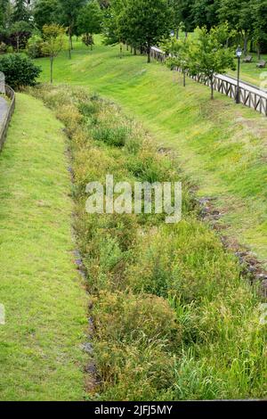 Gebrochene verlassene Drainage-Kanal mit Schilf in einem Park mit Bäumen und grünem Gras überwuchert. Konzept für Umweltprobleme Stockfoto