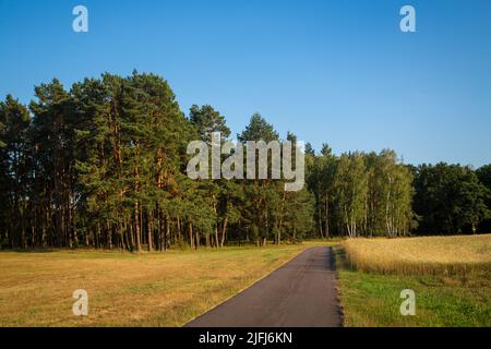 Oder-Neisse-Radweg, Lausitz, Brandenburg, Deutschland Stockfoto