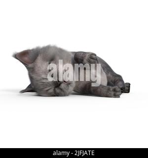 3D-Illustration einer isolierten niedlichen Babykatze, die schläft Stockfoto