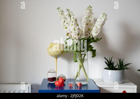 Dekoration und Pflanzen im Wohnzimmer einer Wohnung Stockfoto