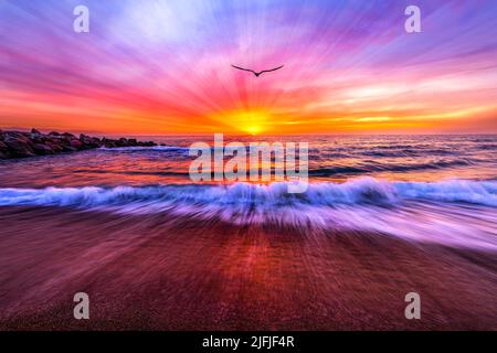 Eine Bird Silhouette fliegt den farbenfrohen Ocean Sunset Light Roys entgegen Stockfoto