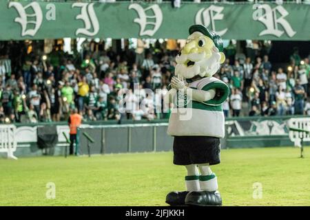 Curitiba, Brasilien. 03.. Juli 2022. PR - Curitiba - 07/03/2022 - BRASILIANISCHER A 2022, CORITIBA X FORTALEZA - Vovo Coxa, das Maskottchen von Coritiba, vor dem Spiel gegen Fortaleza im Stadion Couto Pereira zur brasilianischen Meisterschaft A 2022. Foto: Robson Mafra/AGIF/Sipa USA Quelle: SIPA USA/Alamy Live News Stockfoto