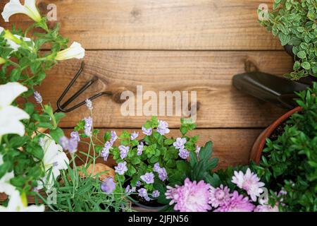 Draufsicht auf Gartenarbeit, Landschaftsbau-Werkzeuge und Ausrüstung, verschiedene Blumen und verschiedene Kräuter in Töpfen auf braunem Holz Hintergrund flach legen. Leerer leerer Kopierbereich für Text. Gärtner arbeiten im Gartenkonzept Stockfoto