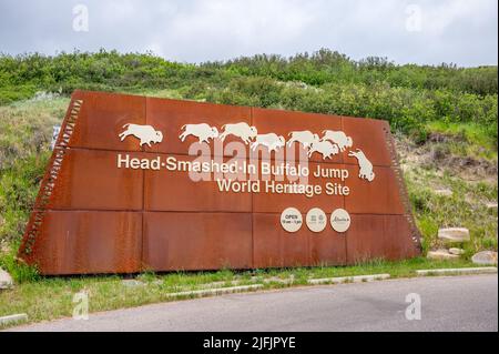 Fort Macleod, Alberta - 2. Juli 2022: Einfahrtsschilder für das vom Kopf zertrümmerte Buffalo Jump-Weltkulturerbe. Stockfoto