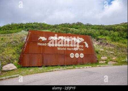 Fort Macleod, Alberta - 2. Juli 2022: Einfahrtsschilder für das vom Kopf zertrümmerte Buffalo Jump-Weltkulturerbe. Stockfoto