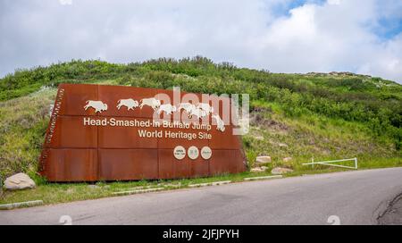 Fort Macleod, Alberta - 2. Juli 2022: Einfahrtsschilder für das vom Kopf zertrümmerte Buffalo Jump-Weltkulturerbe. Stockfoto