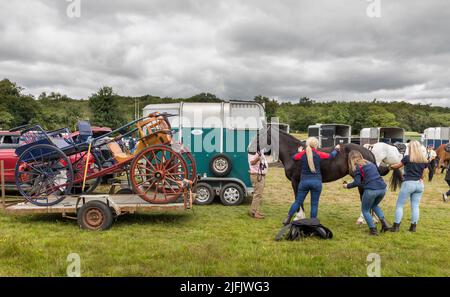 Dunmanway, Cork, Irland. 03.. Juli 2022. Mädchen, die ein Pferd zur Vorbereitung auf den Wettkampf um das Pferd und das Fallenfahren auf der jährlichen Landwirtschaftsmesse in Dunmanway, Co. Cork, pflegen. - Credit; David Creedon / Alamy Live News Stockfoto