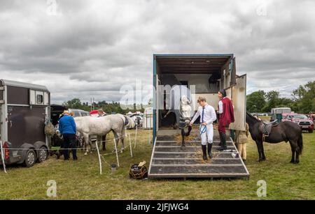 Dunmanway, Cork, Irland. 03.. Juli 2022. John Hayes aus Bandon führt ein reines Connemara-Pony aus einem Trailer, den Bee Sharan auf der jährlichen Landwirtschaftsmesse in Dunmanway, Co. Cork, beobachtet hat. - Credit; David Creedon / Alamy Live News Stockfoto