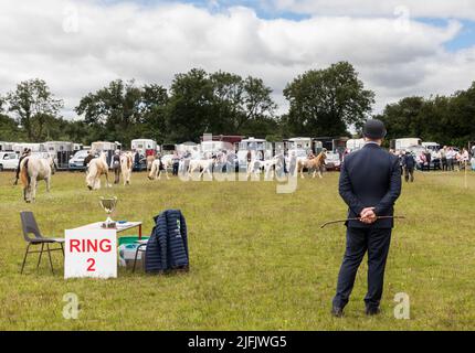 Dunmanway, Cork, Irland. 03.. Juli 2022. Denis McGrath von Tuam beurteilt junge Pferde auf der jährlichen Landwirtschaftsmesse in Dunmanway, Co. Cork. - Credit; David Creedon / Alamy Live News Stockfoto