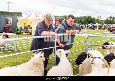 Dunmanway, Cork, Irland. 03.. Juli 2022. Denis Harrington aus Bantry mit Paudie O' Sullivan beim Blick auf Scotch Blackface Schafe auf der jährlichen Landwirtschaftsmesse in Dunmanway, Co. Cork. - Credit; David Creedon / Alamy Live News Stockfoto