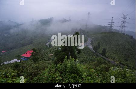 Das Mirik-Tal ist das ganze Jahr über mit Teesträuchern bedeckt, Teeliebstählen pflücken Teeblätter aus Tea Gardens während des Monsuns an bewölkten Morgen in der kleinen Stadt im Distrikt North Bengal Darjeeling -Mirik, Westbengalen, Indien am 10/06/2022. Die Strommasten dieser Gärten sind das einzige Medium für den Stromanschluss auf dem ganzen Hügel. Nach Angaben der Darjeeling Tea Association liegt die Teeproduktion von Darjeeling im Vorjahr bei rund 7 Millionen kg und die Exporte lagen im Bereich von 3 bis 3,5 Millionen kg. (Foto von Soumyabrata Roy/Pacific Press) Stockfoto