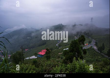 10. Juni 2022, Mirik, Westbengalen, Indien: Das Mirik-Tal ist das ganze Jahr über von Teeblättern bedeckt.während des Monsuns pflücken Teearbeiterinnen Teeblätter aus den Tea Gardens an bewölkten Morgen in der kleinen Stadt North Bengal Darjeeling -Mirik, Westbengalen, Indien am 10/06/2022. Die Strommasten dieser Gärten sind das einzige Medium für den Stromanschluss auf dem ganzen Hügel. Nach Angaben der Darjeeling Tea Association liegt die Teeproduktion von Darjeeling im Vorjahr bei rund 7 Millionen kg und die Exporte lagen im Bereich von 3 bis 3,5 Millionen kg. (Bild: © Soumyabrata Roy/Pacific Press via Stockfoto