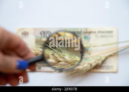 Rubel-Banknote und ukrainischer Weizen aus der Nähe durch eine Lupe auf weißem Hintergrund, Getreidediebstahl durch Russland in der Ukraine Stockfoto