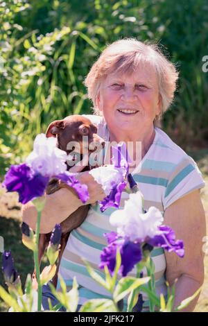 Porträt einer älteren Frau mit einem rassierteren Hund in den Armen im Freien in der Nähe von Irisblumen. Stockfoto