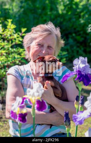 Porträt einer älteren Frau mit einem rassierteren Hund in den Armen im Freien in der Nähe von Irisblumen. Stockfoto