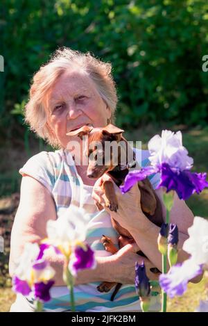 Porträt einer älteren Frau mit einem rassierteren Hund in den Armen im Freien in der Nähe von Irisblumen. Stockfoto