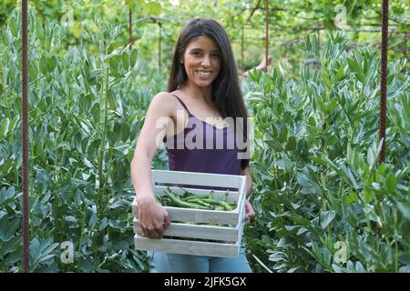 Porträt einer jungen lateinischen Bäuerin, die im Stadtgarten eine breite Bohnenbox hält. Stockfoto