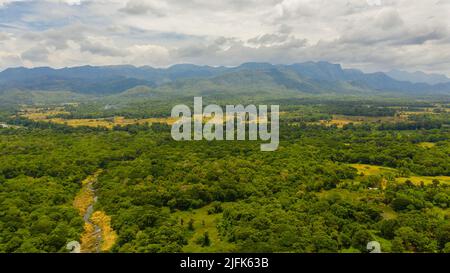 Rustikale Landschaft mit landwirtschaftlichen Flächen und Bauernhöfen zwischen Bergen und Wäldern. Sri Lanka. Stockfoto