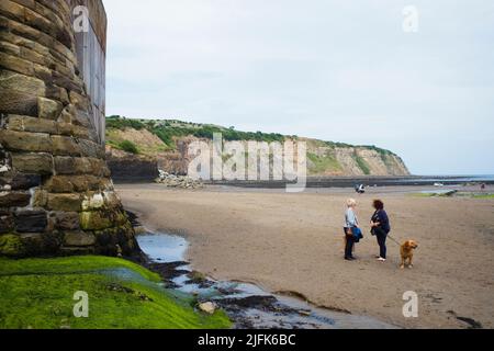 Hundefreunde plaudern am Strand von Robin Hood's Bay, North Yorkshire Stockfoto