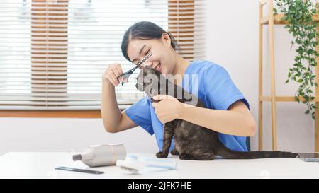 PET Salon Konzept, weibliche Tierärztin mit einer Schere, um Fell der Katze im Salon zu trimmen. Stockfoto