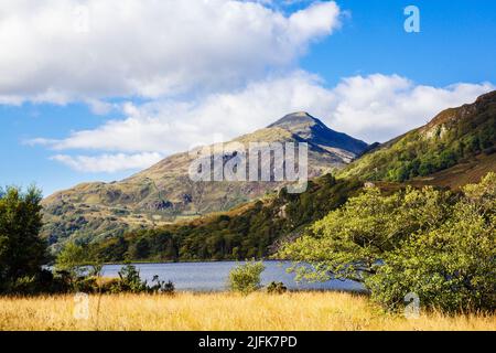 Yr Aran Berg über Llyn Gwynant See im Herbst im Nant Gwynant Tal im Snowdonia Nationalpark. Nantgwynant Beddgeler, Gwynedd North Wales, Großbritannien Stockfoto