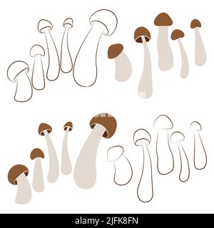 Satz von Pilzen Vektor einfache Illustration isoliert auf weißem Hintergrund. Braune Umrandung und farbige handgezeichnete Version. Vektormykologie. Natürliche Gesundheit Stock Vektor