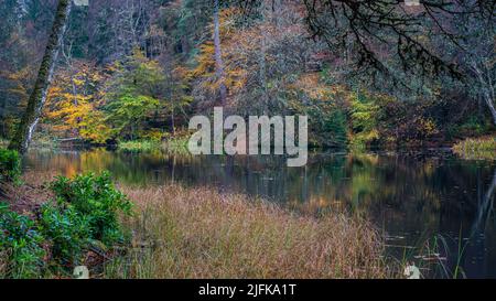 Ein launischer, farbenfroher Herbstwald über einer ruhigen Reflexion auf Loch Dunmore in der Nähe von Pitlochry in Perthshire, Schottland. Stockfoto